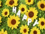 "Feliz" entre flores amarillas