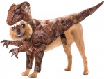 Perro disfrazado de dinosaurio