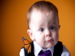 Mariposa sobre un elegante bebé