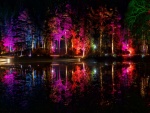 Un maravilloso parque iluminado