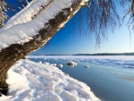 Nieve a orillas del lago helado