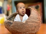 Bebé dentro de un coco