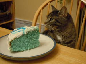 Postal: Gato junto a un pastel azul