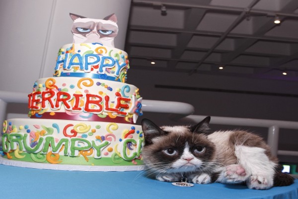 Un gato junto a su tarta de cumpleaños
