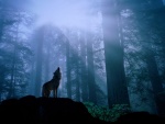 Un lobo aullando en el interior del bosque