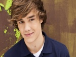 El cantante Liam Payne (One Direction)
