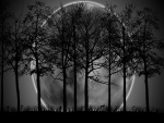 Gran luna tras los árboles