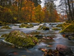 Río con rocas y hojas otoñales