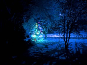 Un árbol de Navidad iluminado en la noche