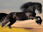Un gran caballo negro