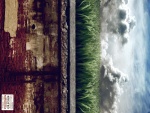 Muro, hierba y el cielo