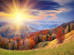 Brillante sol en otoño