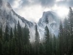 Niebla en las montañas de Yosemite