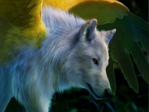 Un gran lobo blanco con el ojo de color fucsia