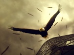 Las plumas de un águila en el aire