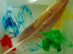 Postal: Pluma sumergida con tinte de colores