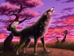 Un lobo aullando en un bello amanecer
