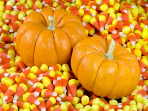 Postal: Calabazas sobre caramelos para Halloween
