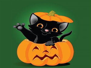 Postal: Calabaza de Halloween y un gatito negro