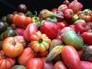 Variedad de tomates