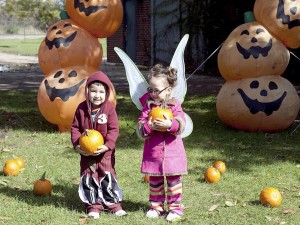 Postal: Niños colocando calabazas de Halloween en el jardín