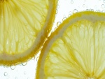 Burbujas y rodajas de limón en el agua