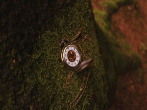 Postal: Un bonito reloj perdido en el bosque