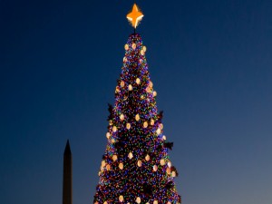 Árbol de Navidad en Washington D. C.