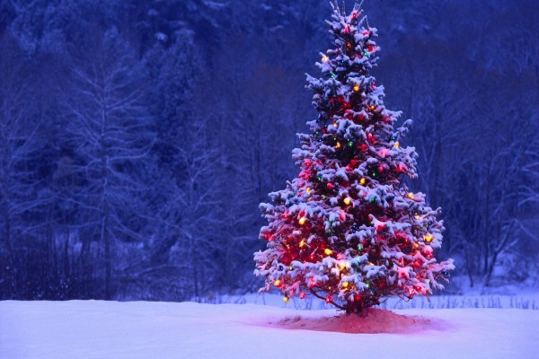 Árbol de Navidad iluminado sobre la nieve