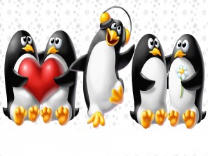 Postal: Pingüinos enamorados