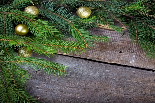 Bolas doradas junto a unas ramas de pino en Navidad