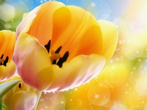 Hermosos tulipanes amarillos