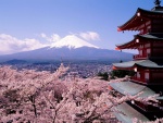 Preciosas vistas del monte Fuji