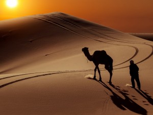 Camello y hombre caminando por el desierto