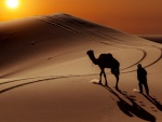 Camello y hombre caminando por el desierto