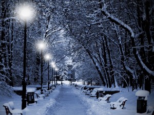 Camino solitario en invierno