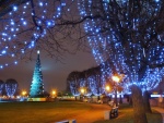 Luces navideñas iluminando un parque de San Petersburgo (Rusia)
