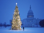 Un hombre observando un gran árbol de Navidad iluminado