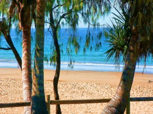 Una playa vista entre las palmeras