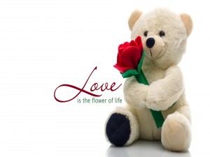 El amor es la flor de la vida (Love is the flower of life)
