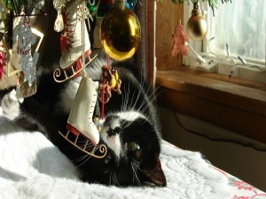 Gato negro jugando con los adornos del árbol de Navidad