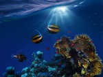 Corales y peces bajo el agua