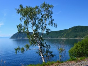 Postal: Admirando la belleza del lago