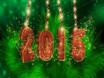 Festejando la llegada del "Nuevo Año 2015"