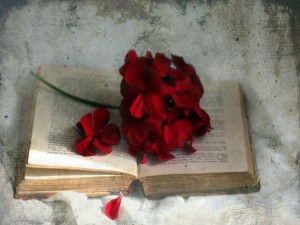 Postal: Una bella flor de color granate sobre un antiguo libro