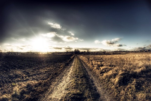 Camino de tierra campestre