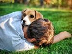 El amor de un perro por su amigo humano
