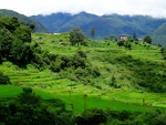 Paisaje verde en Bhután