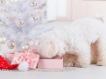 Un bello perro husmeando los regalos junto a un árbol de Navidad