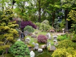 Un bonito jardín japonés con una pequeña cascada